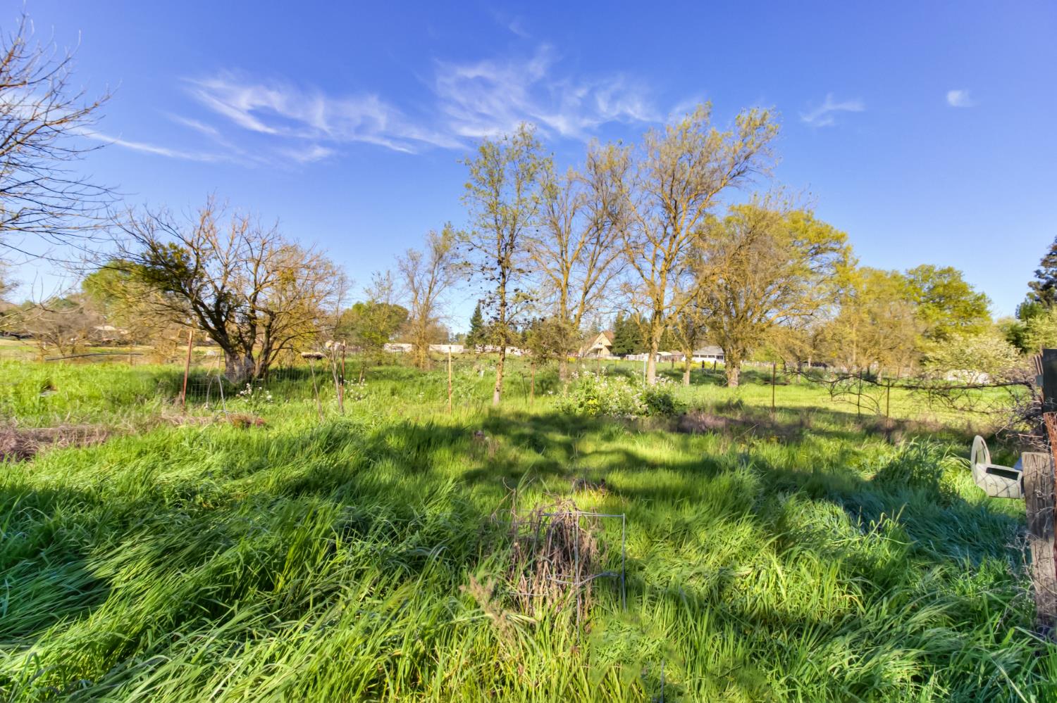 9835 Harvey Road Galt, CA 95632 - Photo 32 of 46