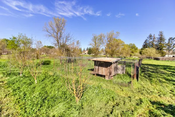 a big yard with green space