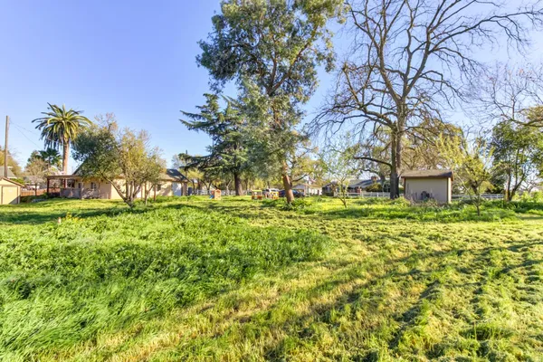 a view of yard with large trees