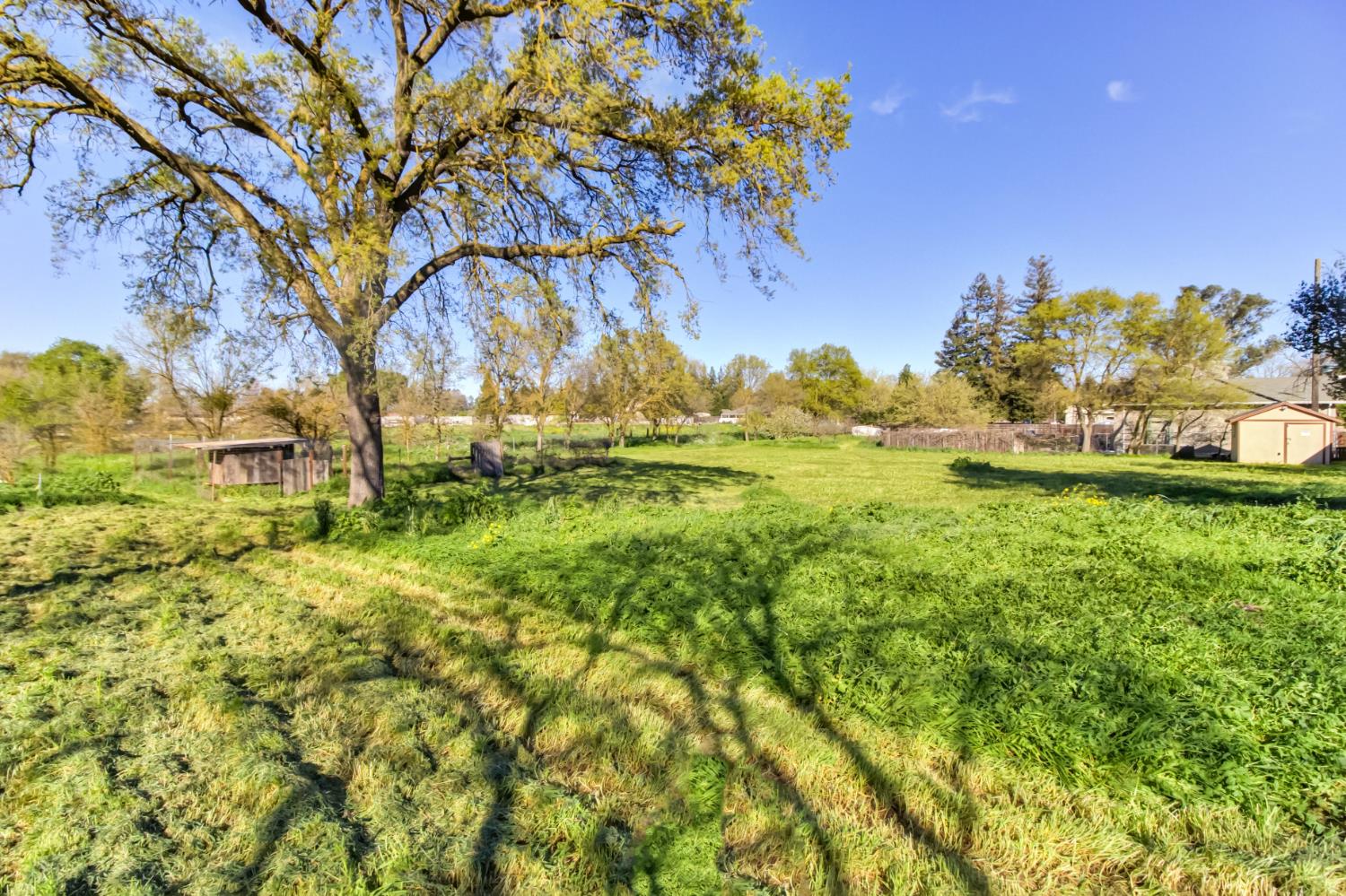 9835 Harvey Road Galt, CA 95632 - Photo 35 of 46