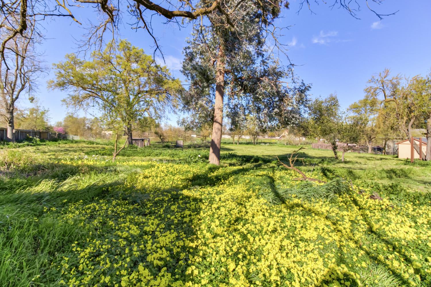 9835 Harvey Road Galt, CA 95632 - Photo 40 of 46