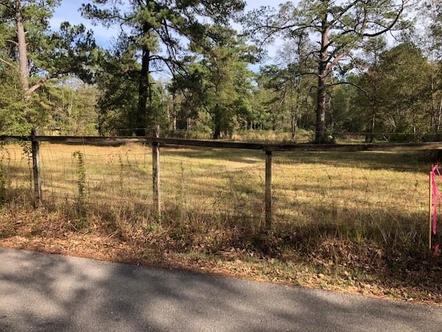 5-acres Elliot Road Bush, LA 70431 - Photo 3 of 7