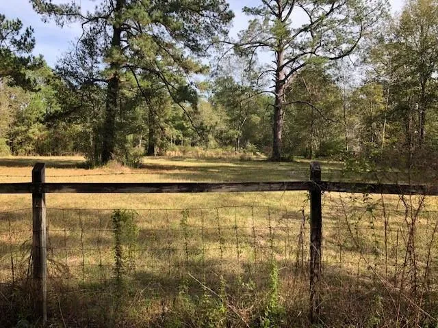$105,000 | 5-acres Elliot Road, Bush, LA 70431