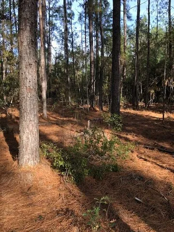 $105,000 | 5-acres Elliot Road, Bush, LA 70431