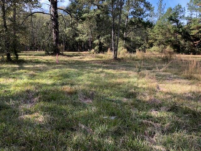 5-acres Elliot Road Bush, LA 70431 - Photo 6 of 7