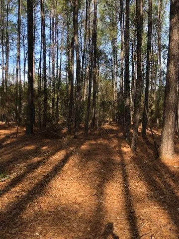 $105,000 | 5-acres Elliot Road, Bush, LA 70431