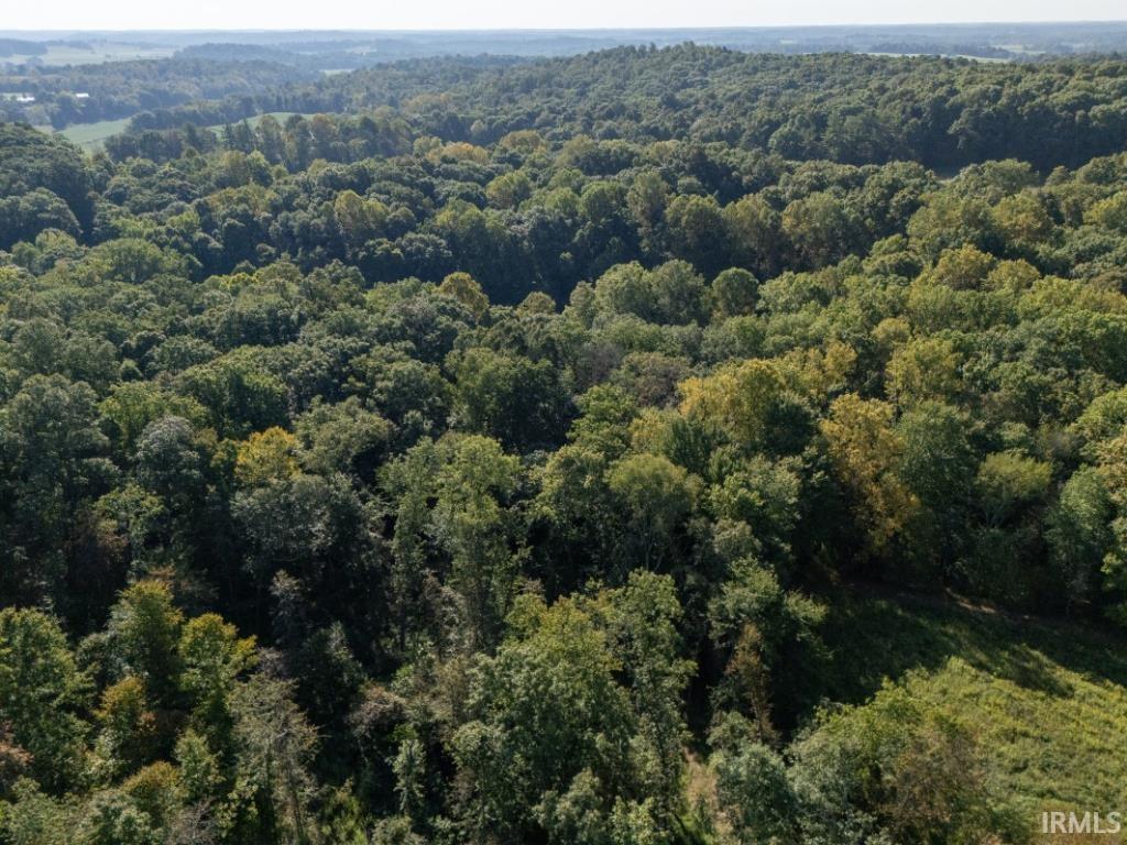 0 Huffman Mill Road Evanston, IN 47531 - Photo 20 of 25