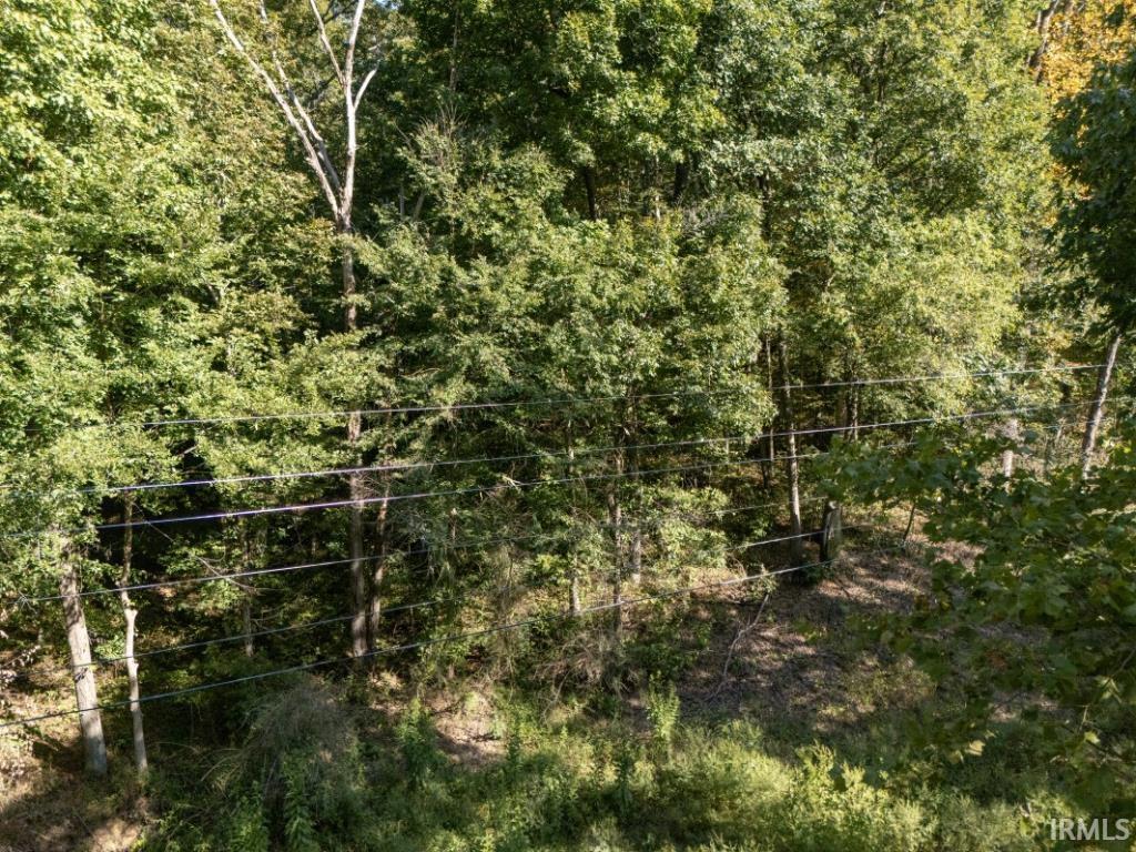 0 Huffman Mill Road Evanston, IN 47531 - Photo 4 of 25