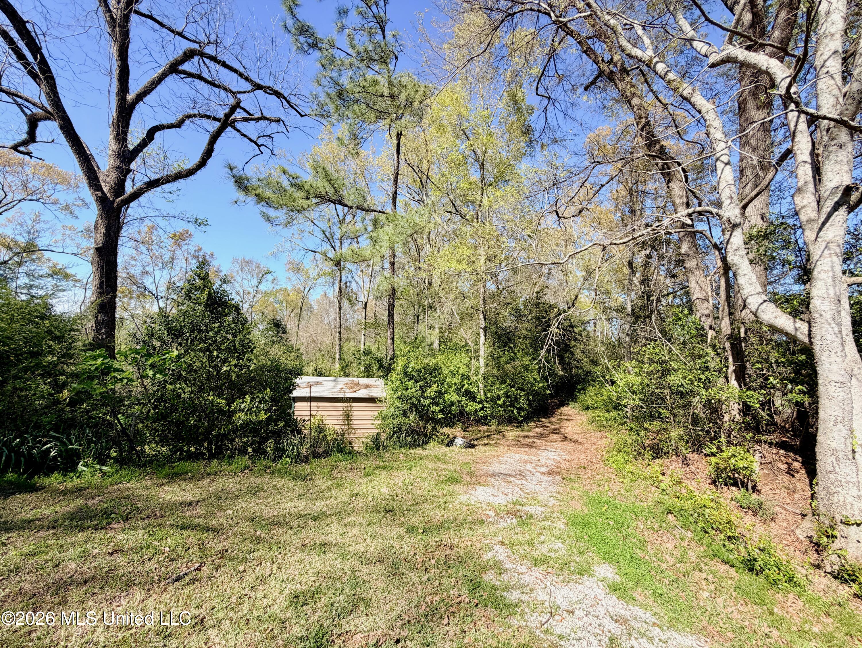 78 Government Fleet Road Natchez, MS 39120 - Photo 29 of 34 78 Government Storage & Trail