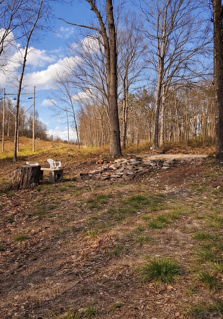 507 Mowry Road Manns Choice, PA 15550 - Photo 8 of 9