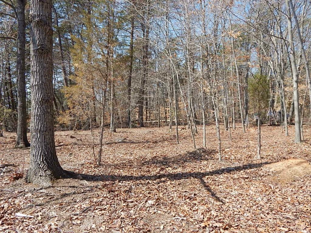 5736 Bunch Road Oak Ridge, NC 27310 - Photo 23 of 30 Front yard
