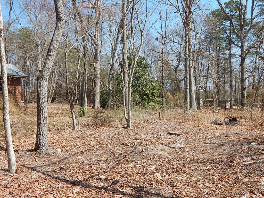5736 Bunch Road Oak Ridge, NC 27310 - Photo 24 of 30 Front yard