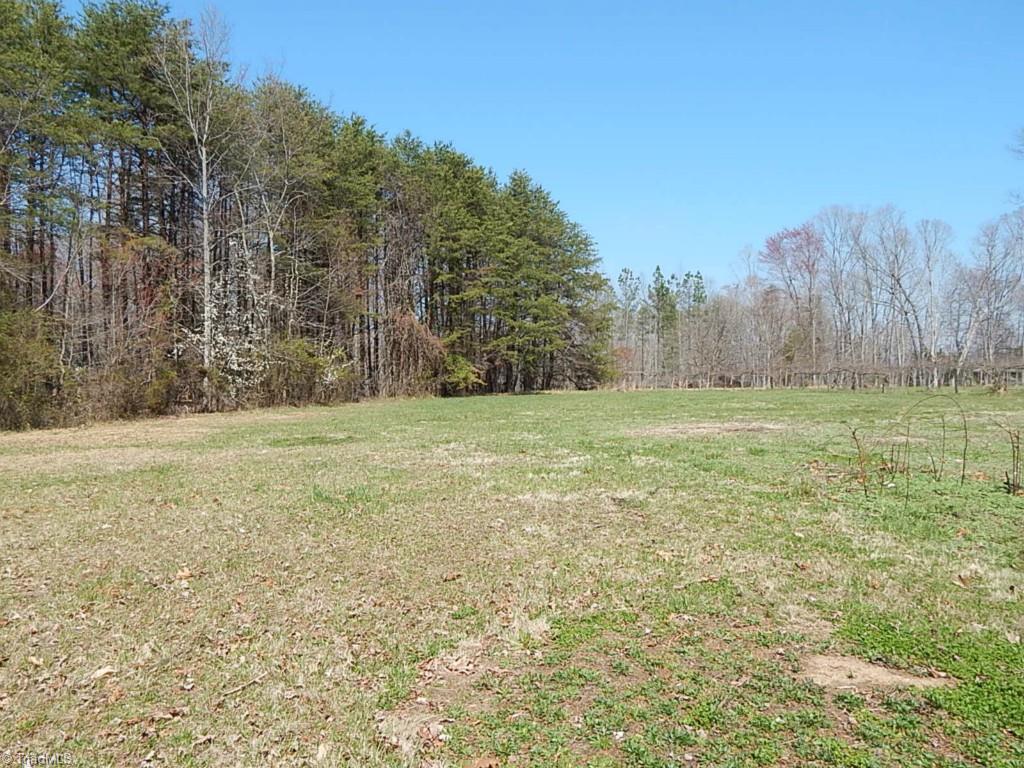 5736 Bunch Road Oak Ridge, NC 27310 - Photo 27 of 30 Back yard