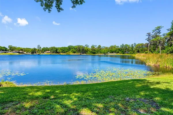 $1,450,000 | 10209 Lake Grove Drive, Odessa, FL 33556