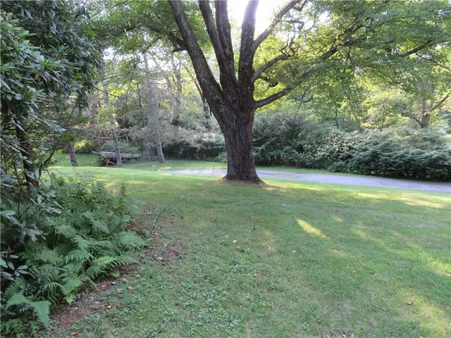 a view of a trees with a yard