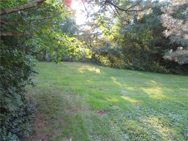 a view of yard with green space