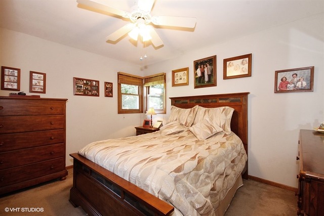 245 South Anderson Road New Lenox, IL 60451 - Photo 5 of 15
