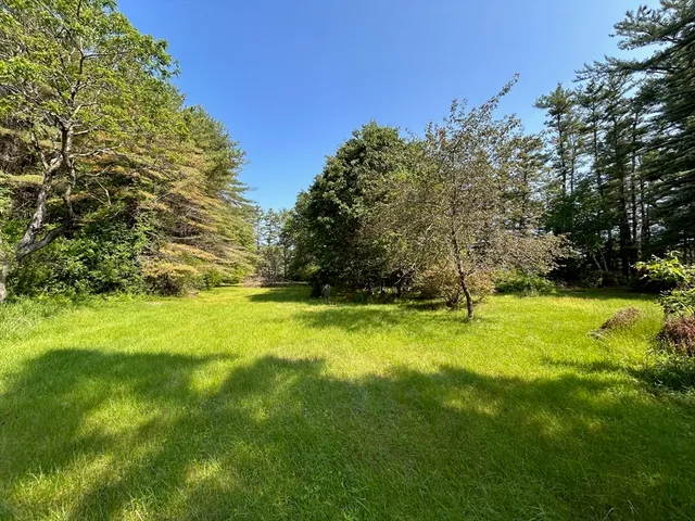 a view of a yard with a tree