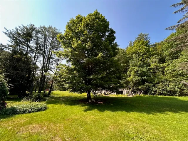 a view of a big yard with large trees