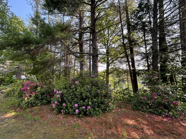 a view of a small barn in the middle of a yard