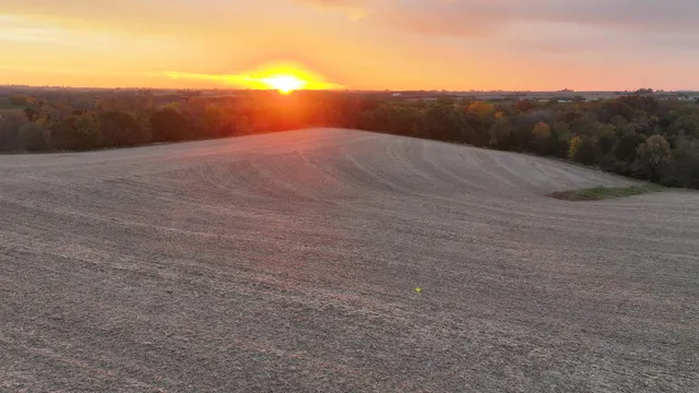 $1 | 85.44-acres 85.44-acres Spoonwood Lane, Cuba City, WI 53807