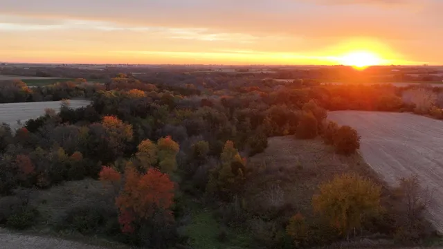 $1 | 85.44-acres 85.44-acres Spoonwood Lane, Cuba City, WI 53807