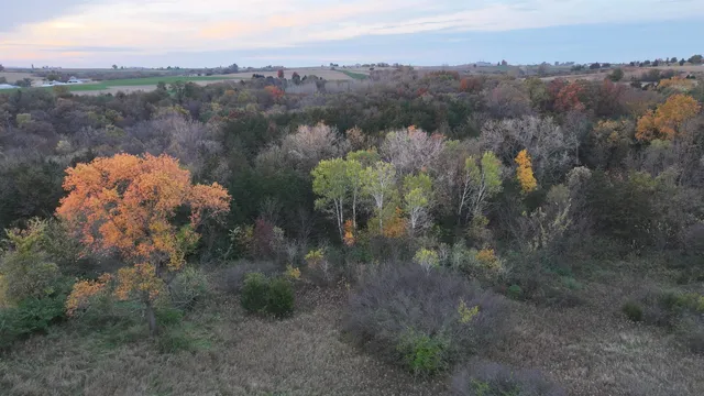 $1 | 85.44-acres 85.44-acres Spoonwood Lane, Cuba City, WI 53807