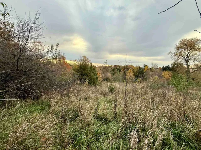 $1 | 85.44-acres 85.44-acres Spoonwood Lane, Cuba City, WI 53807