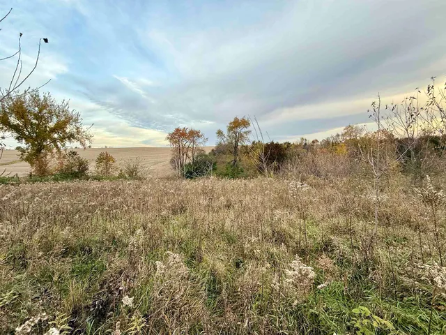 $1 | 85.44-acres 85.44-acres Spoonwood Lane, Cuba City, WI 53807