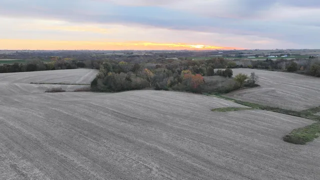 $1 | 85.44-acres 85.44-acres Spoonwood Lane, Cuba City, WI 53807