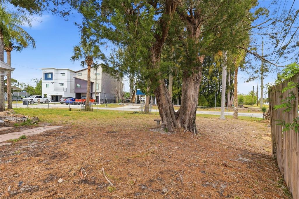 7114 Fair Lane Hudson, FL 34667 - Photo 54 of 59 a view of a yard with a tree