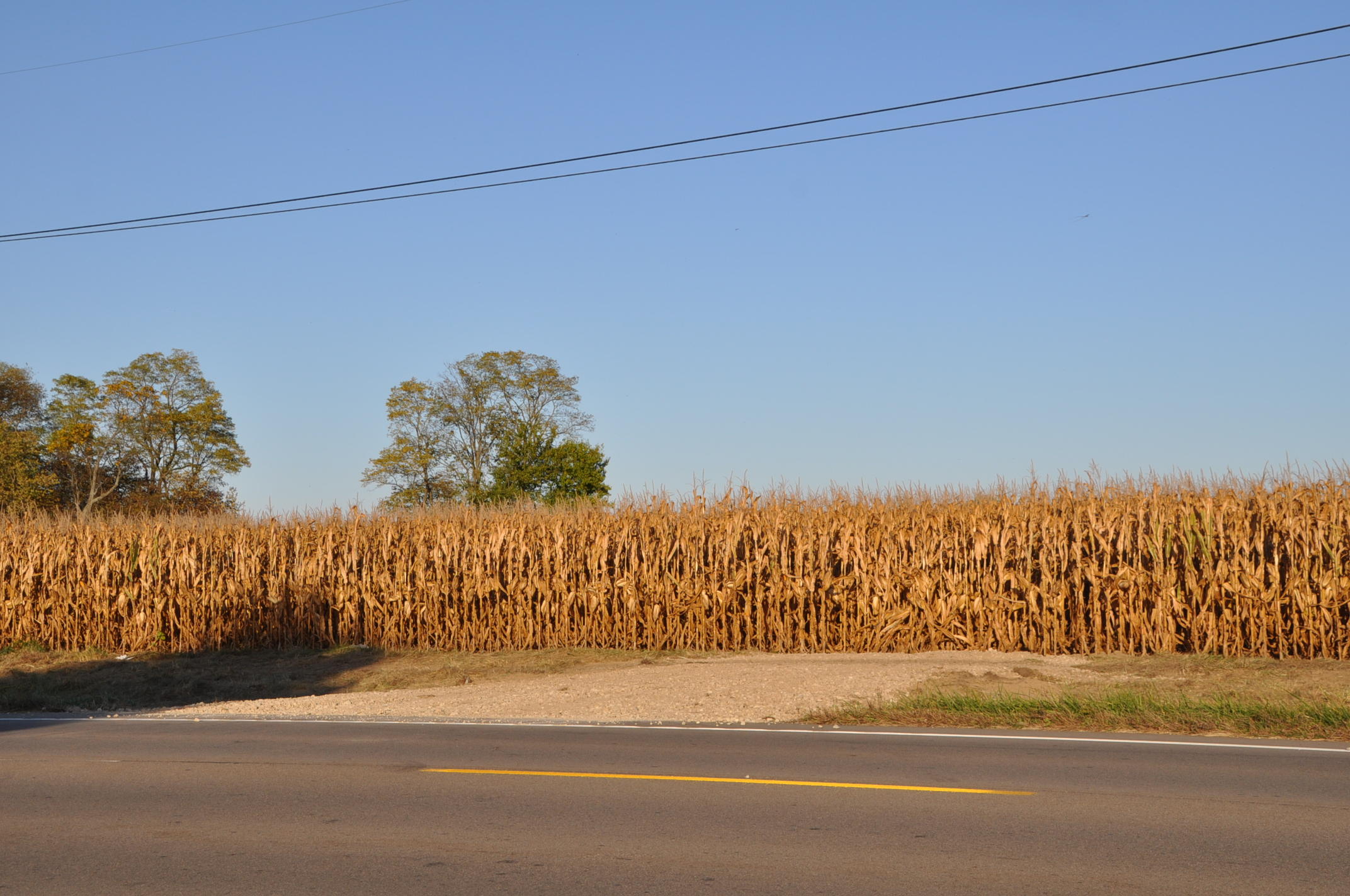 0 South State Road Tipp City, OH 45371 - Photo 9 of 14