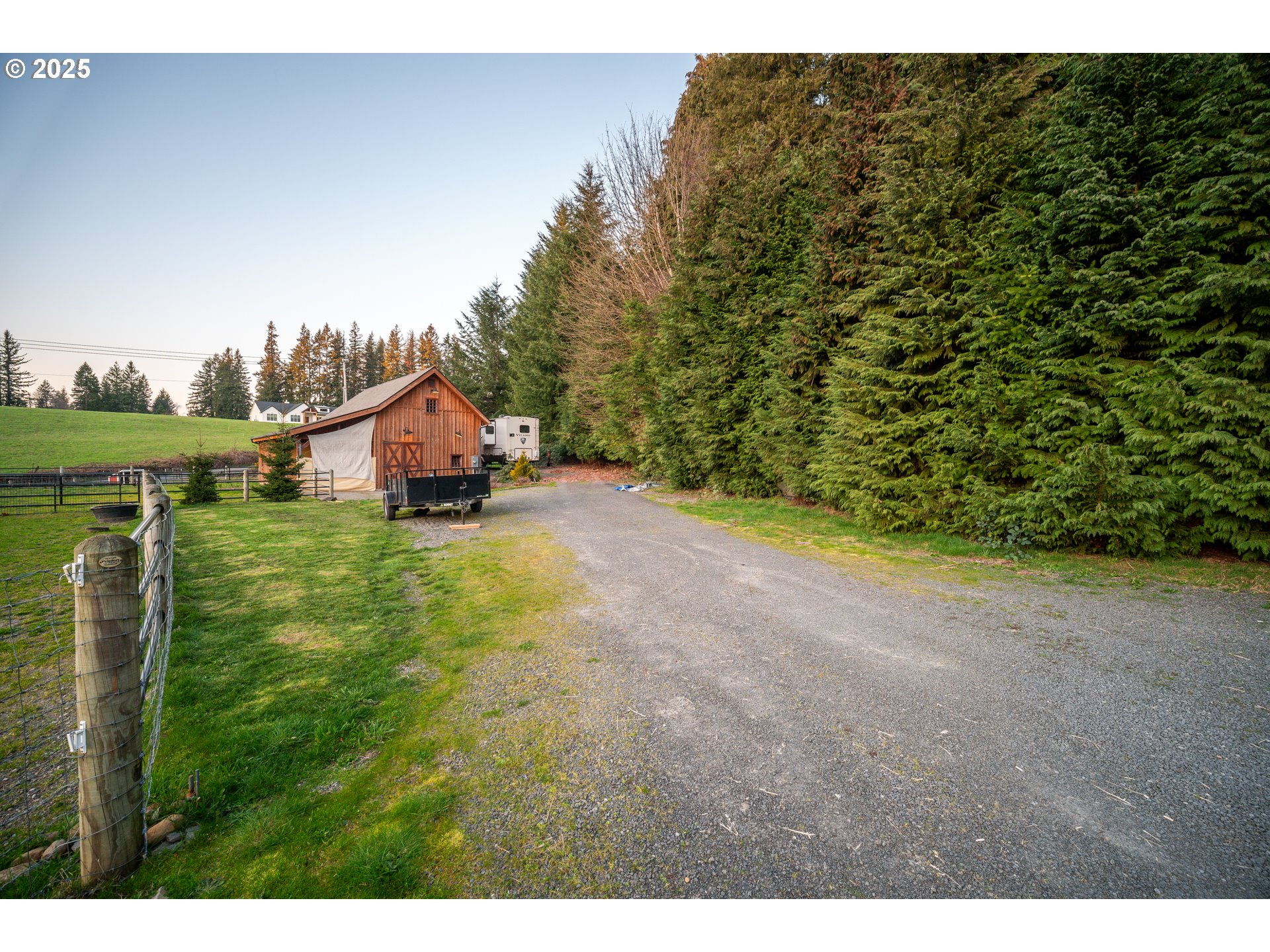 13505 Northeast Grantham Road La Center, WA 98629 - Photo 21 of 29 a view of a big yard with plants and large trees