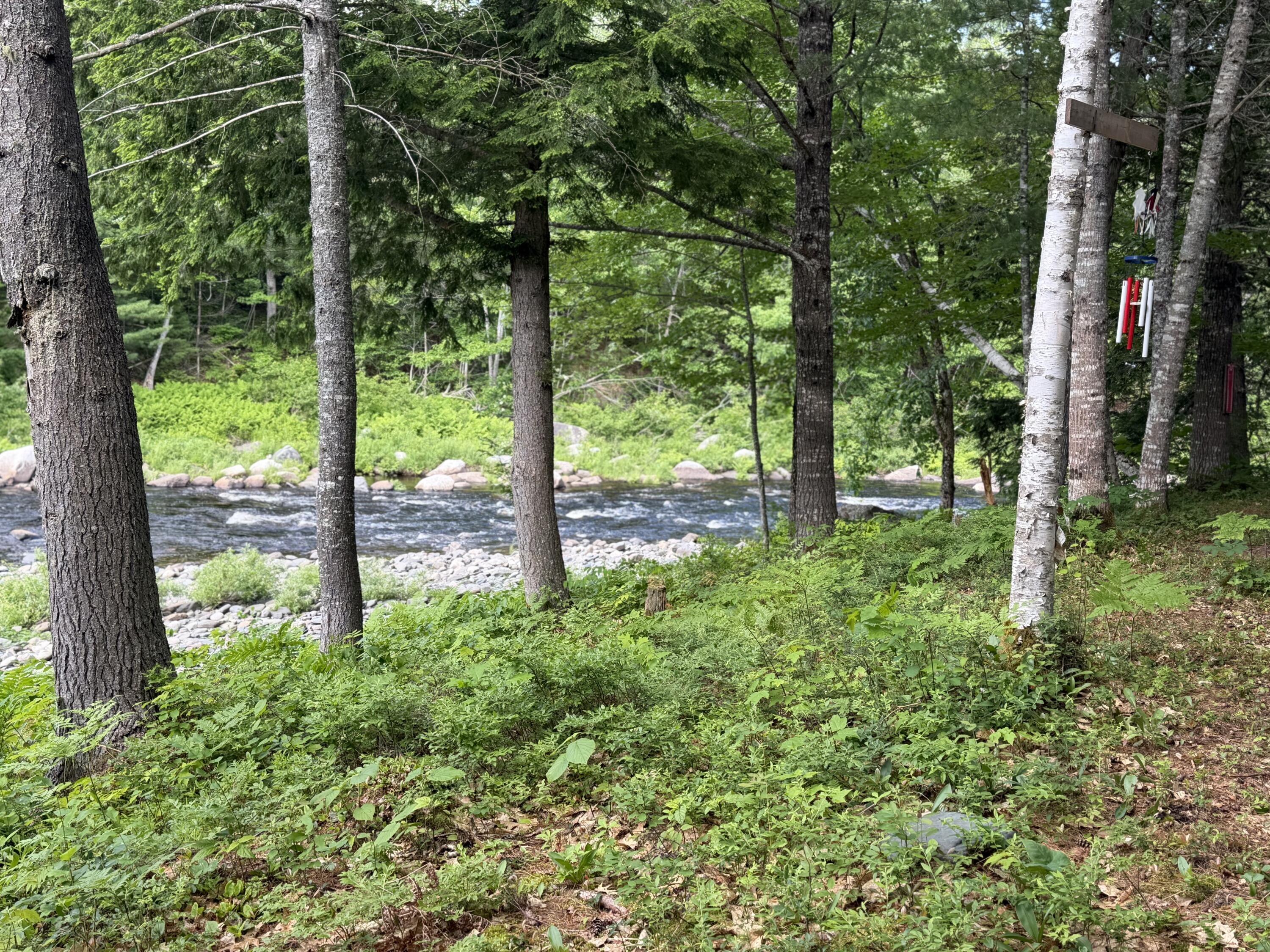 6 Maple Drive Abbot, ME 04406 - Photo 95 of 107 IMG_4543
