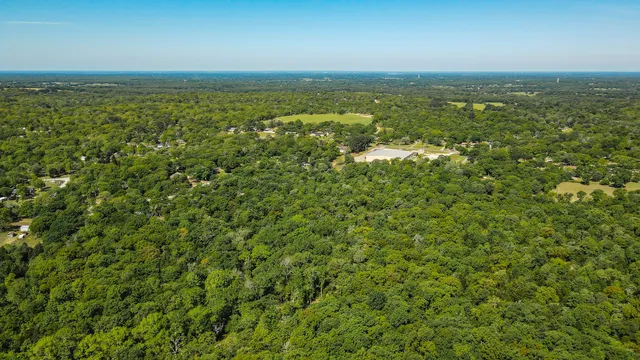 an aerial view of a residential houses with outdoor space and trees