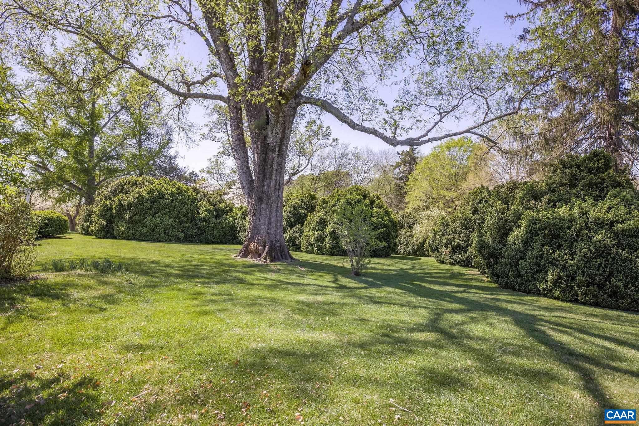 1985 Stony Point Road Charlottesville, VA 22911 - Photo 46 of 62 a view of outdoor space with trees all around