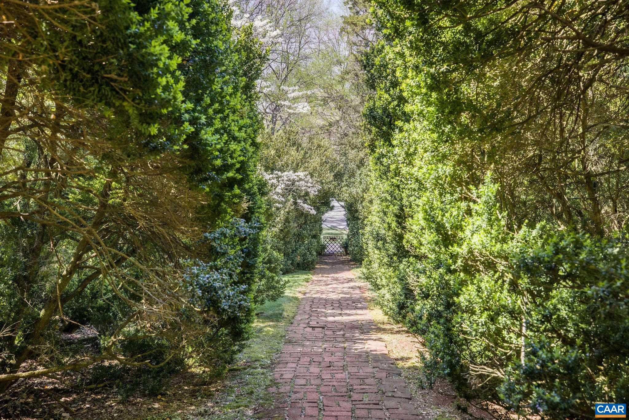 1985 Stony Point Road Charlottesville, VA 22911 - Photo 47 of 62 a view of a pathway both side of yard