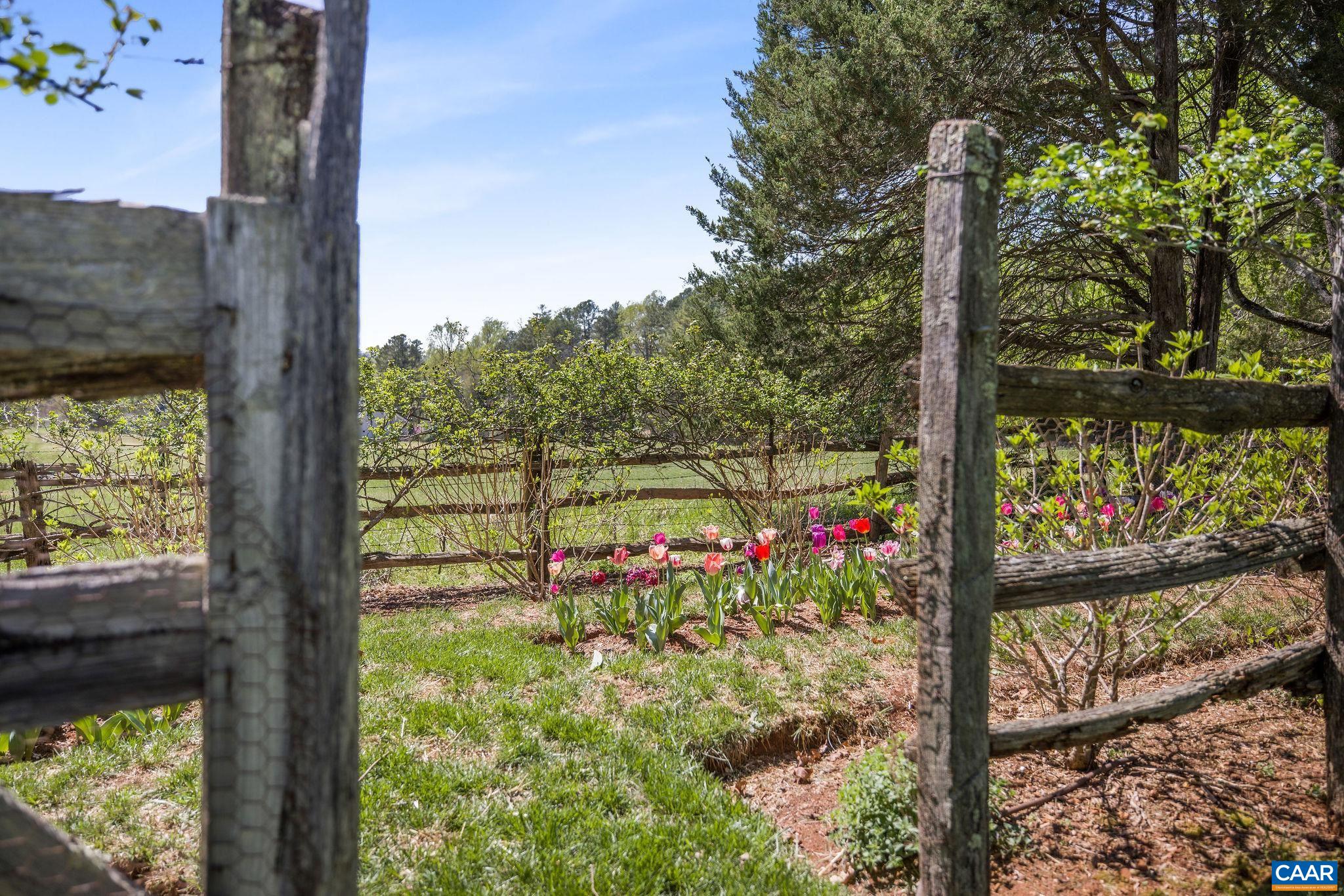 1985 Stony Point Road Charlottesville, VA 22911 - Photo 59 of 62 a view of a yard from a balcony