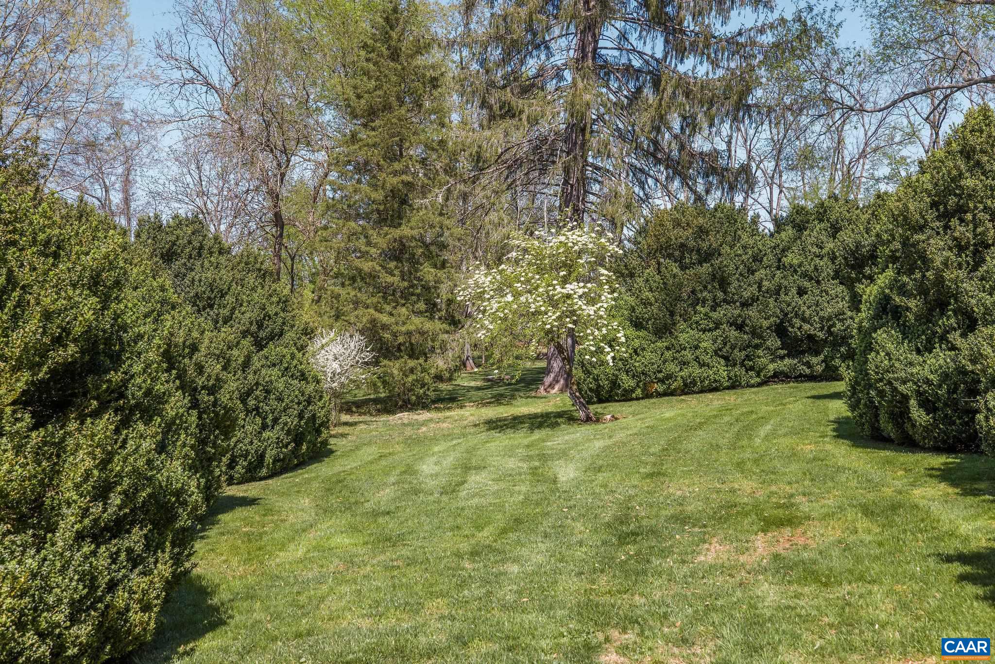 1985 Stony Point Road Charlottesville, VA 22911 - Photo 61 of 62