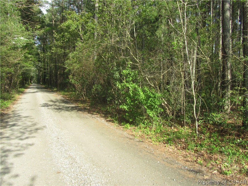 1-2 Felton Road Deltaville, VA 23043 - Photo 3 of 8