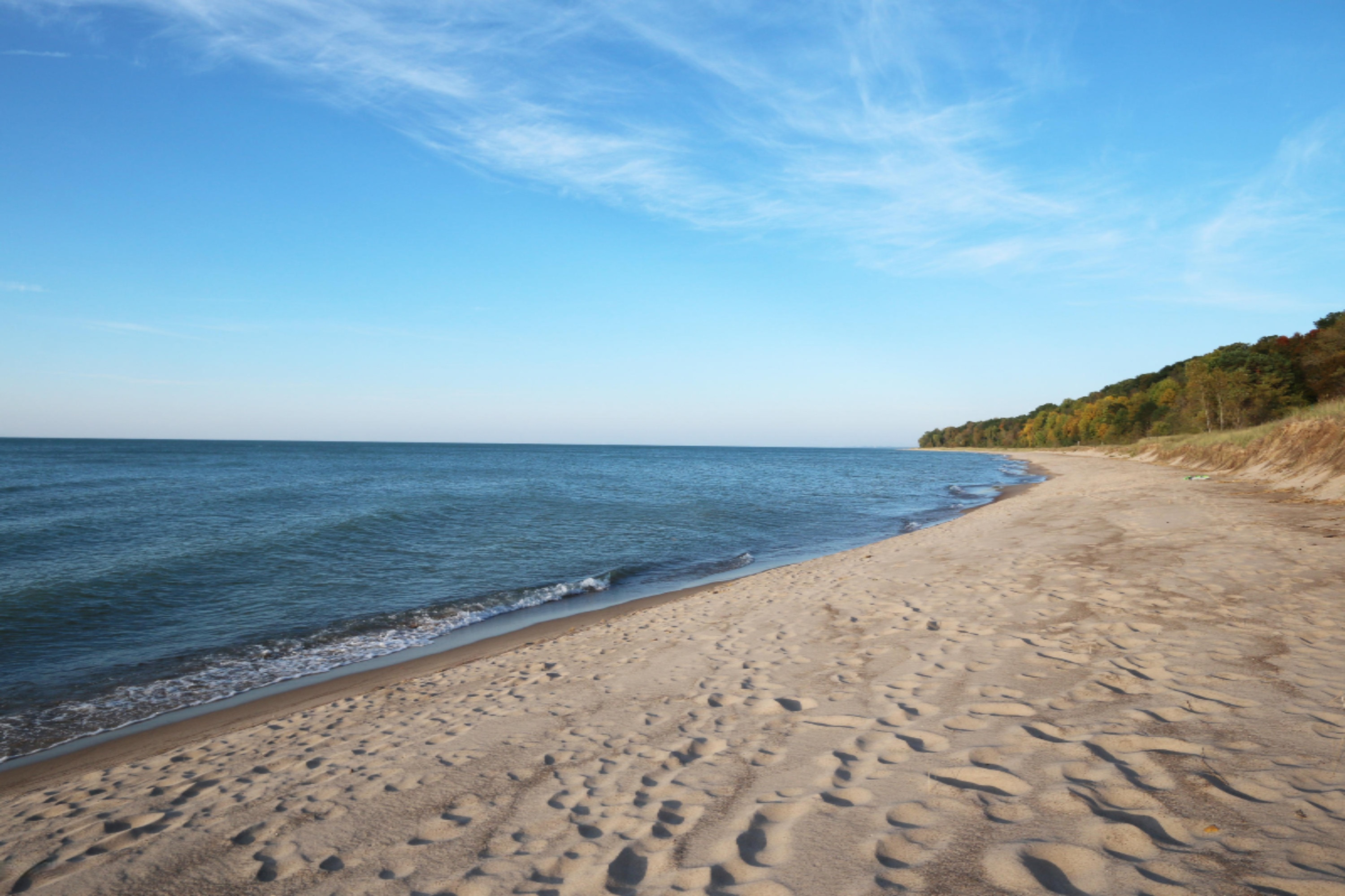 15751 Auldway Road Union Pier, MI 49129 - Photo 10 of 12 Luna Gowdy Streed Beach Sand
