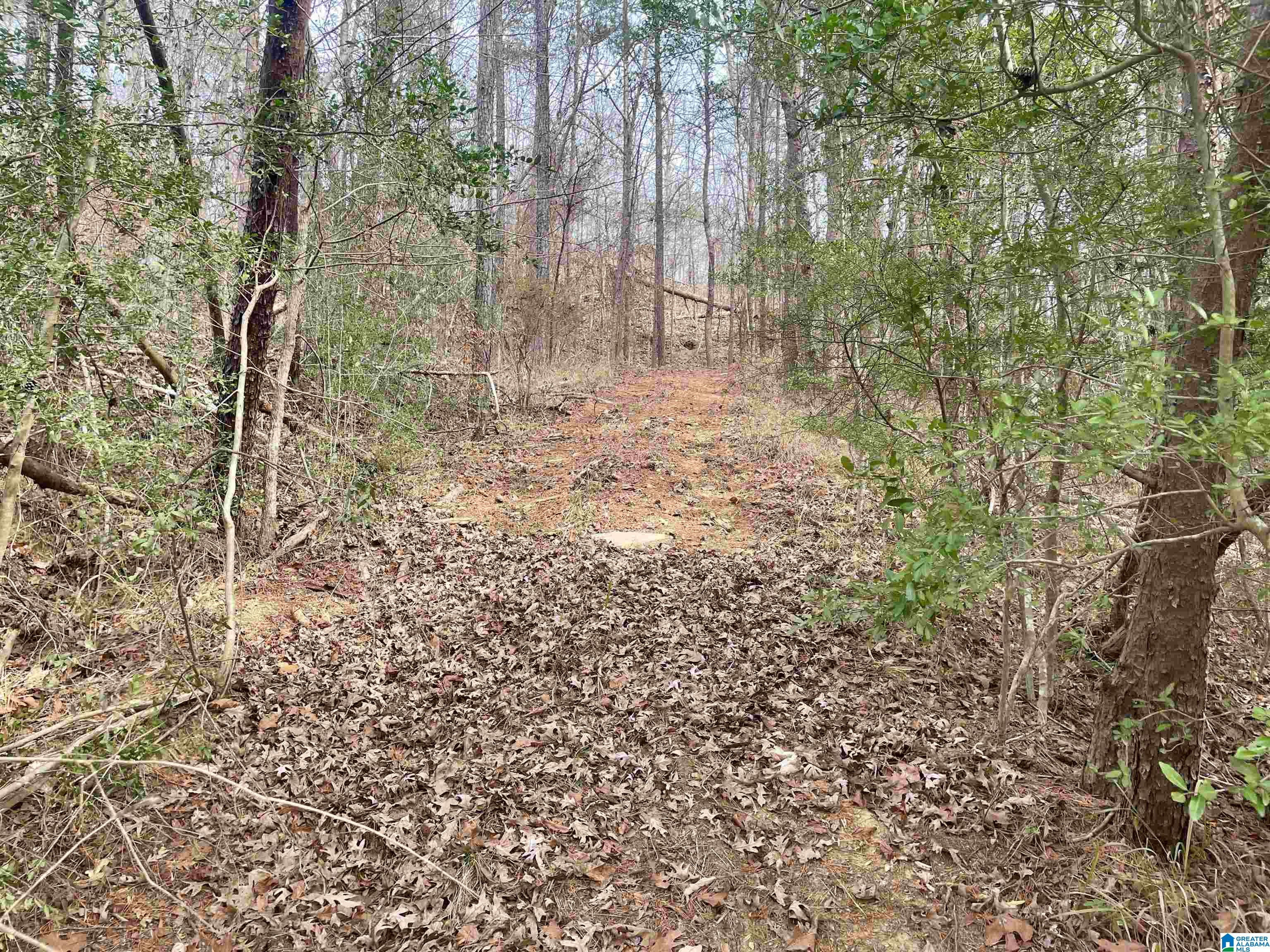 4137 Riverview Cove, Unit 32 Birmingham, AL 35243 - Photo 5 of 16