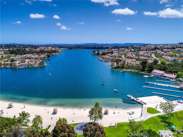 a view of a garden with plants