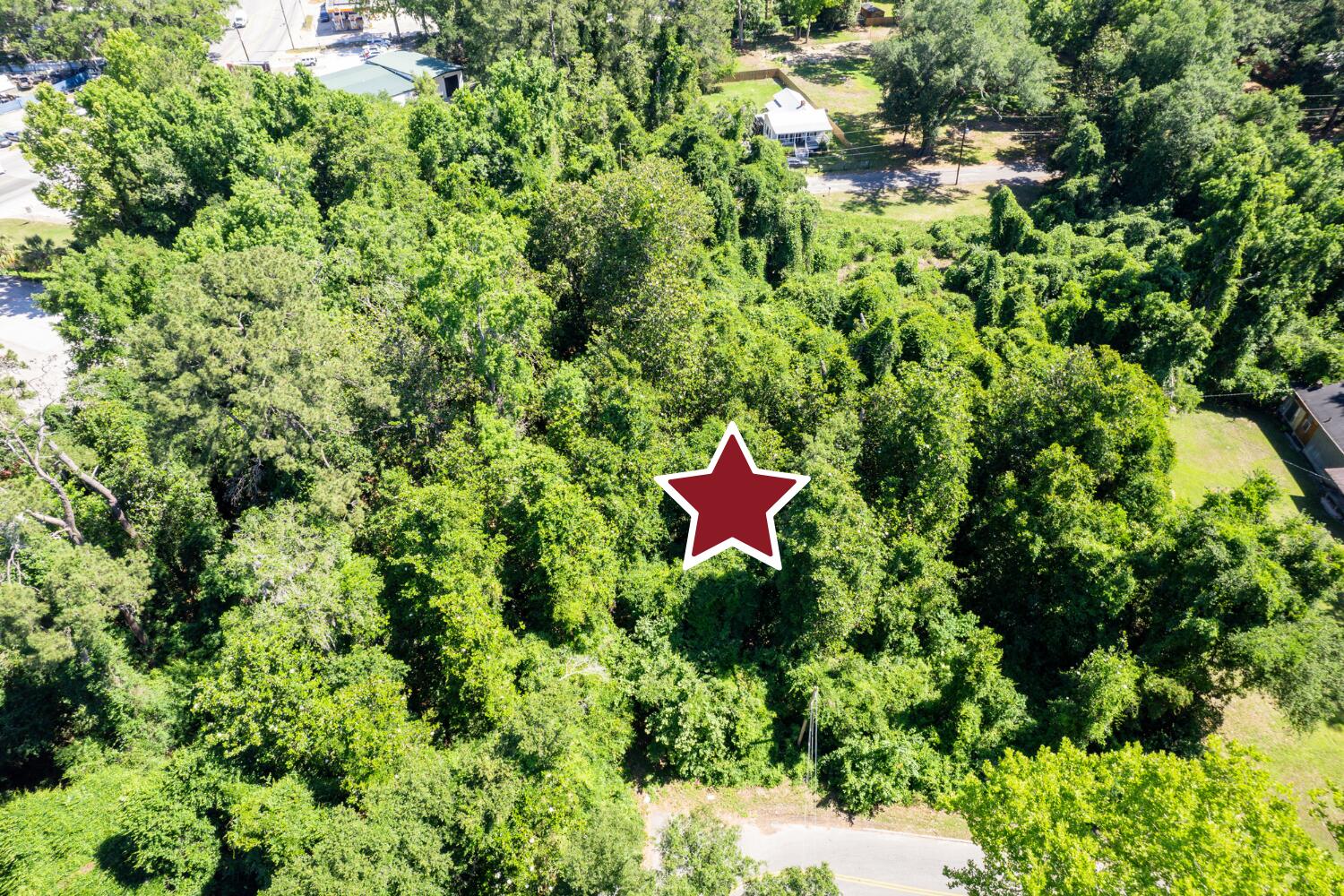 0 Moore Street Walterboro, SC 29488 - Photo 13 of 19 9