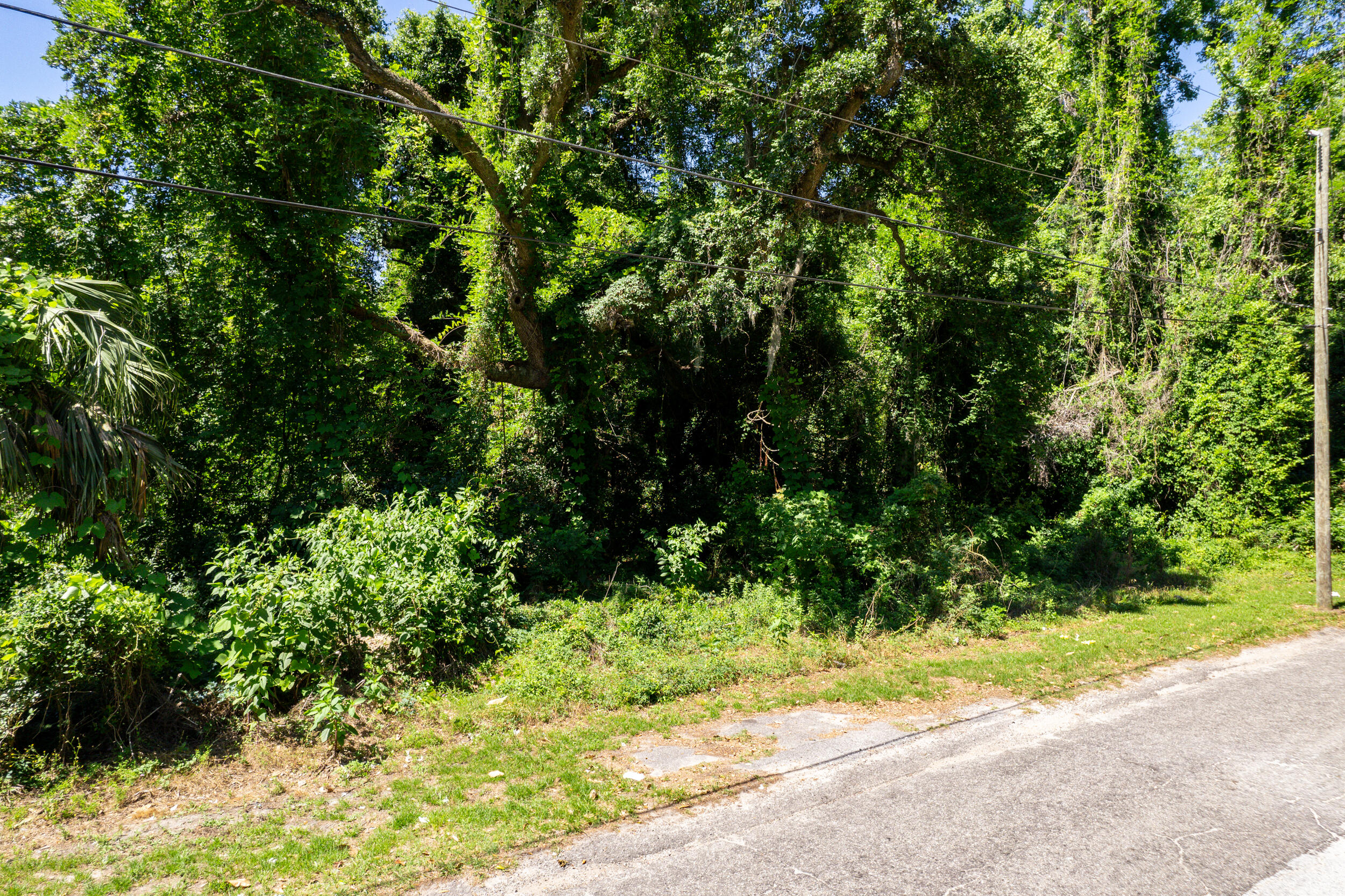 0 Moore Street Walterboro, SC 29488 - Photo 17 of 19 DJI_0023