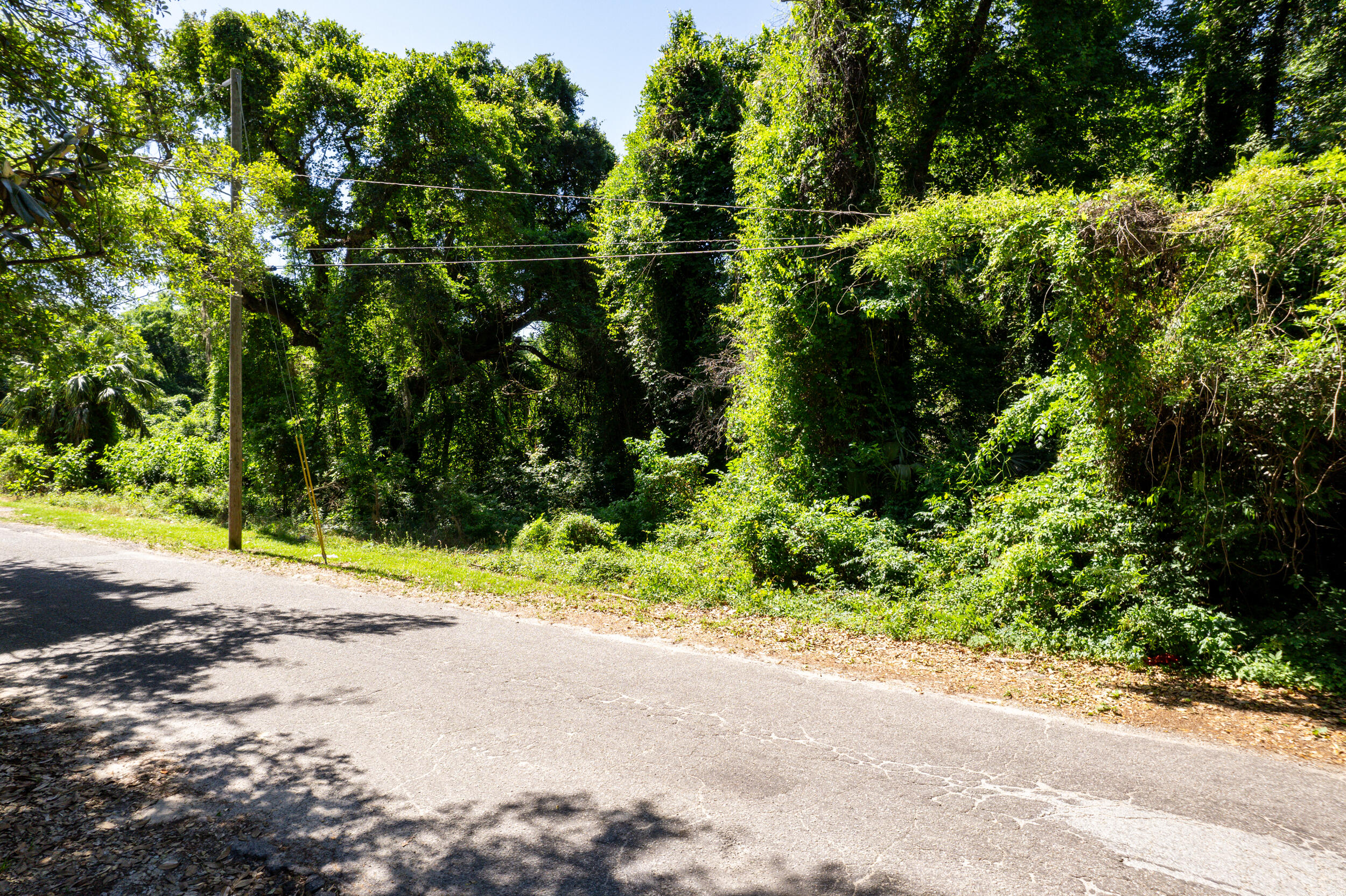 0 Moore Street Walterboro, SC 29488 - Photo 18 of 19 DJI_0024