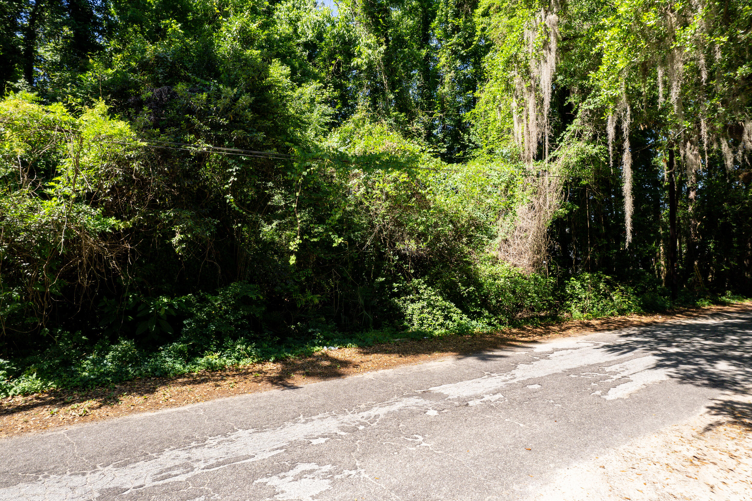 0 Moore Street Walterboro, SC 29488 - Photo 19 of 19 DJI_0025