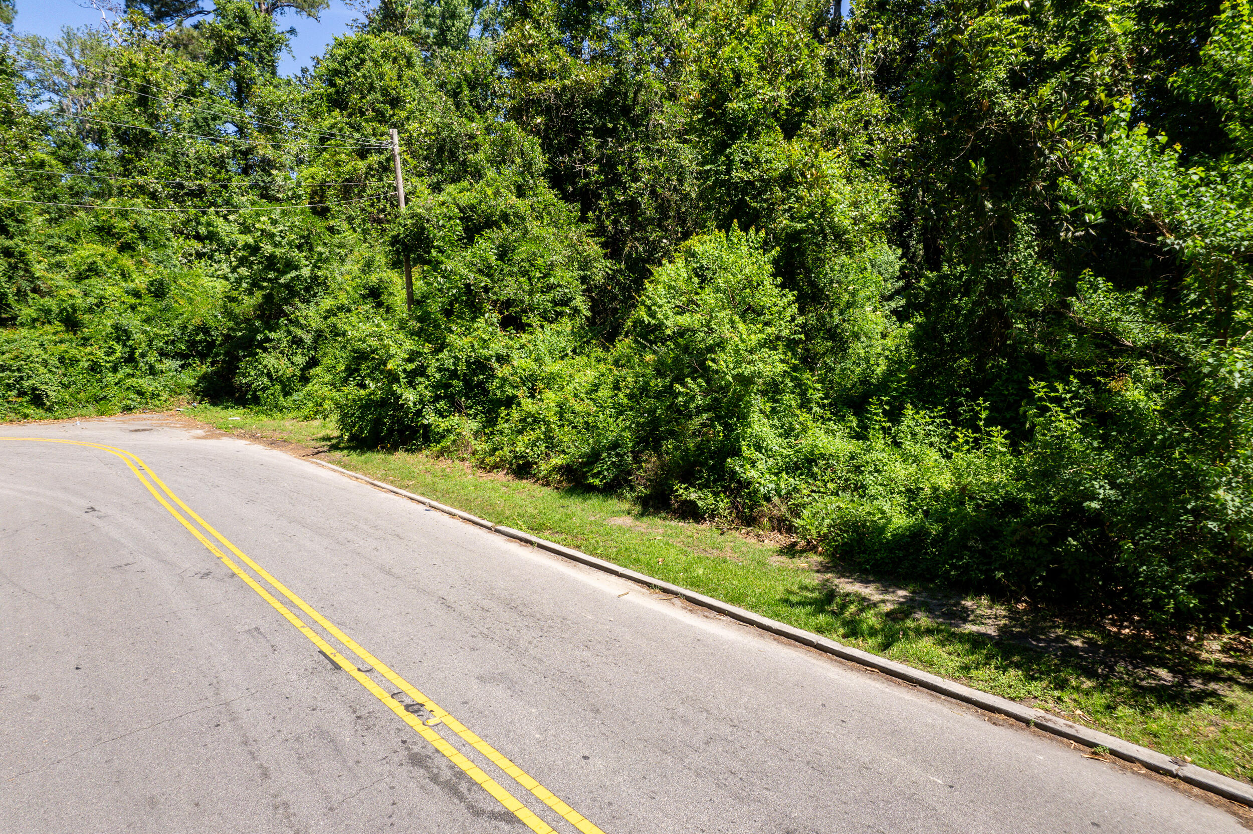 0 Moore Street Walterboro, SC 29488 - Photo 3 of 19 DJI_0019
