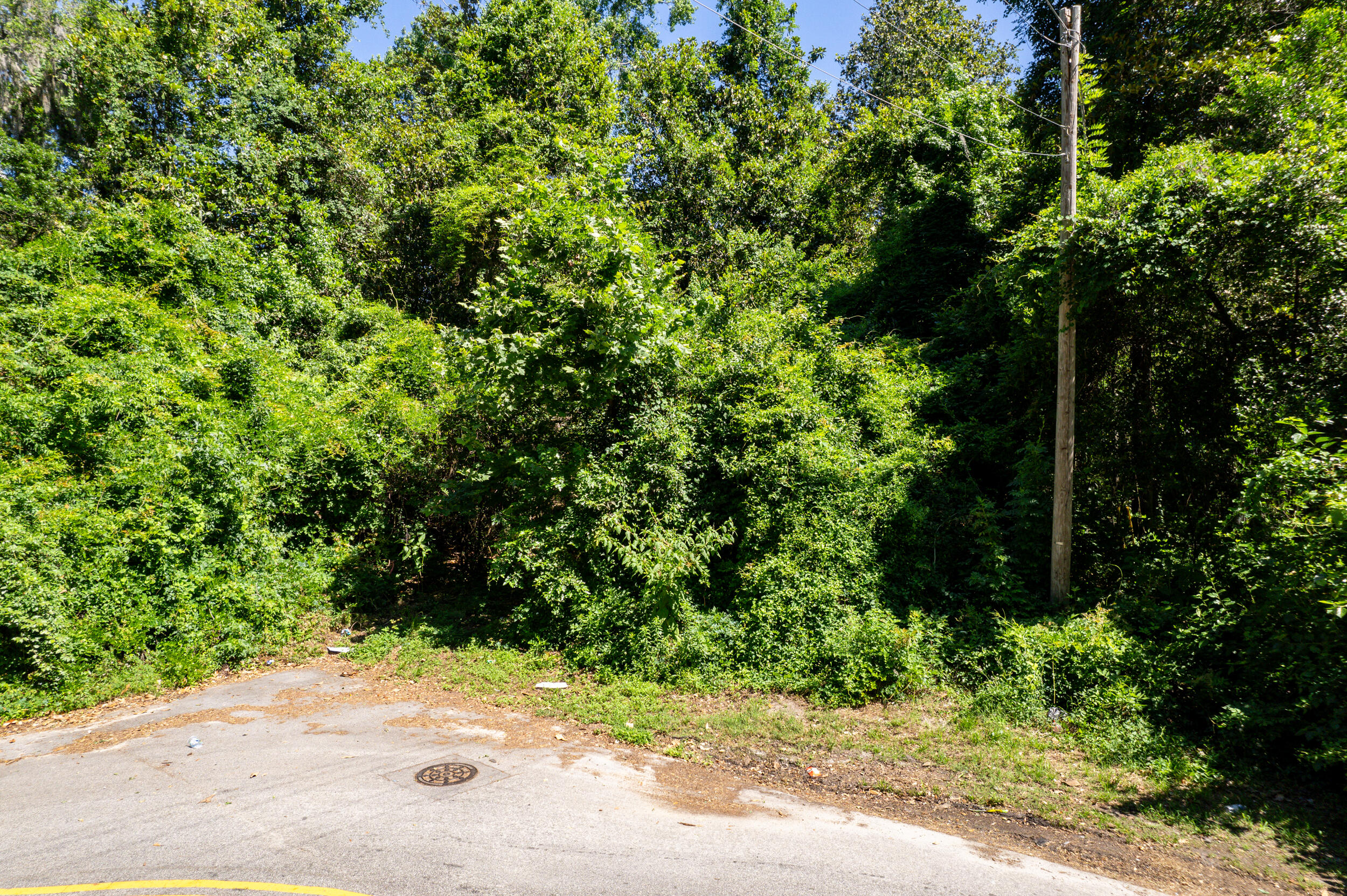 0 Moore Street Walterboro, SC 29488 - Photo 4 of 19 DJI_0020