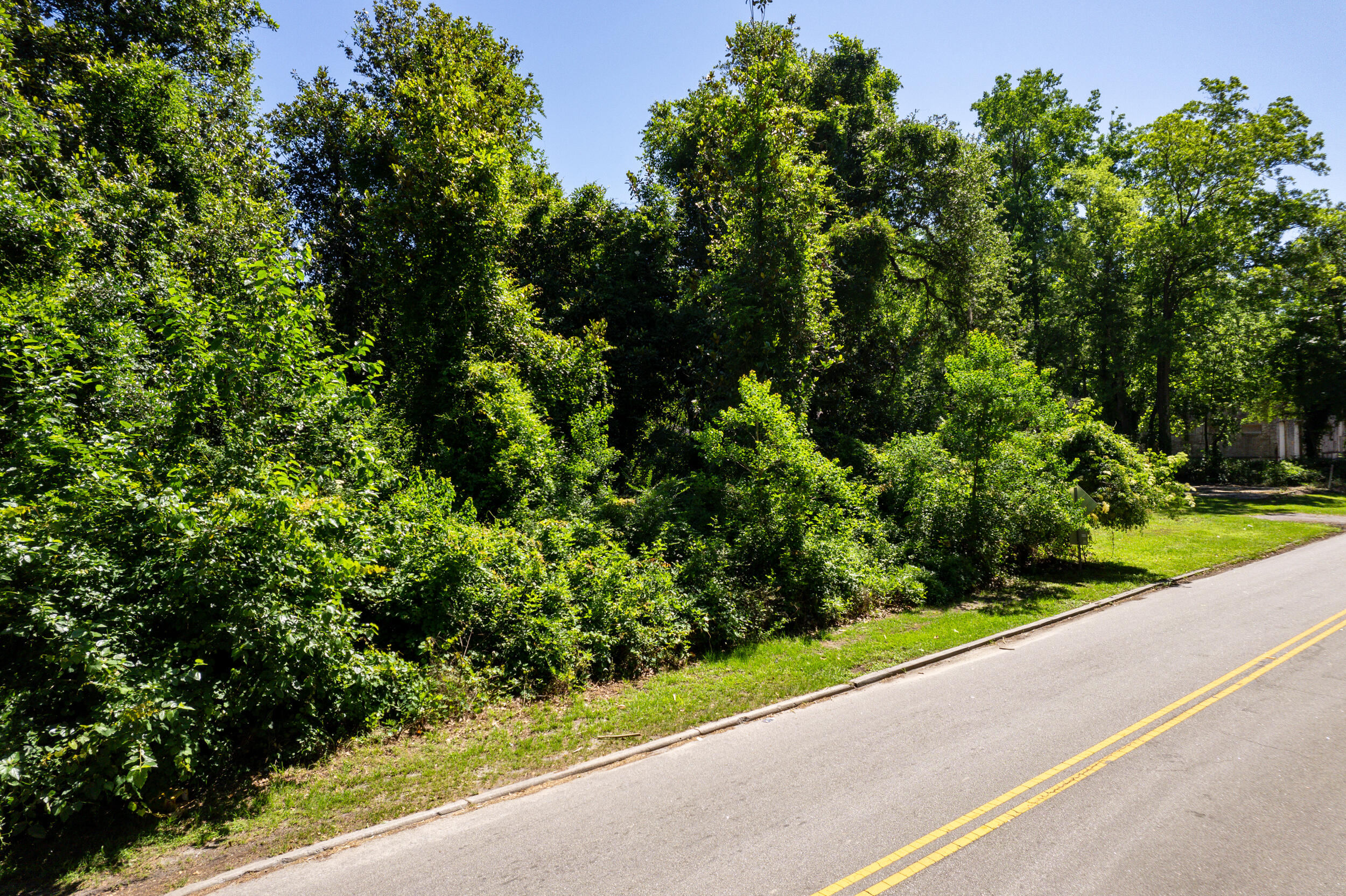 0 Moore Street Walterboro, SC 29488 - Photo 5 of 19 DJI_0021